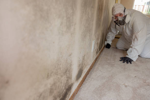  Aberdeen Proving Ground, MD Mold Removal Pros