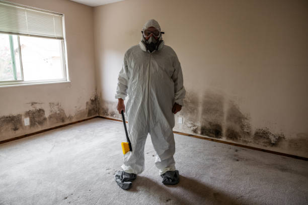 Best Mold Prevention Services  in Aberdeen Proving Ground, MD